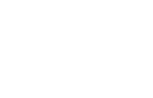 PalPenzy Logo Footer-2